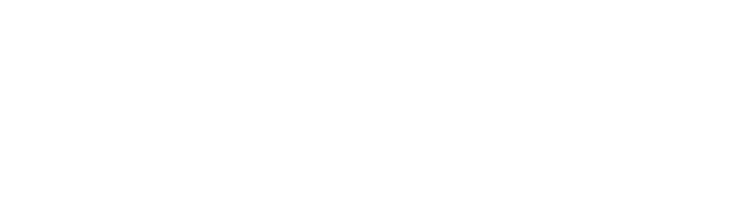 volka band logo white